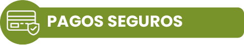 Pagos Seguros